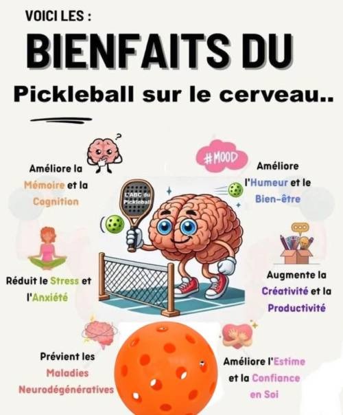 imgi_2_1f04ec1e16dd11657b7440340955e65b-500